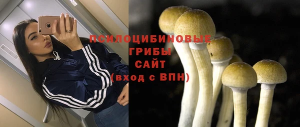 герыч Осинники