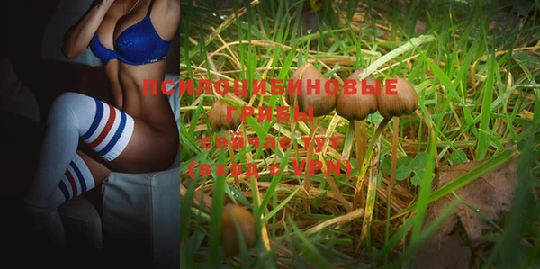 МДПВ Алзамай