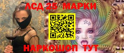 СК Бийск