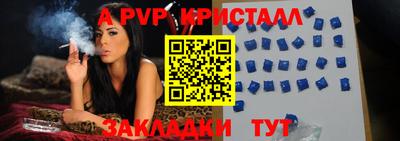 СК Бийск
