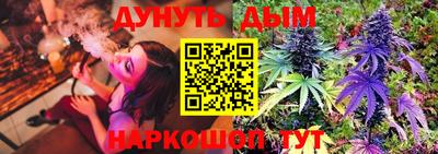 СК Бийск