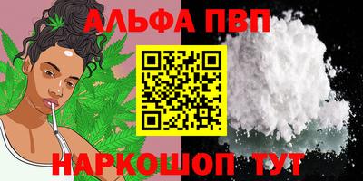 СК Бийск