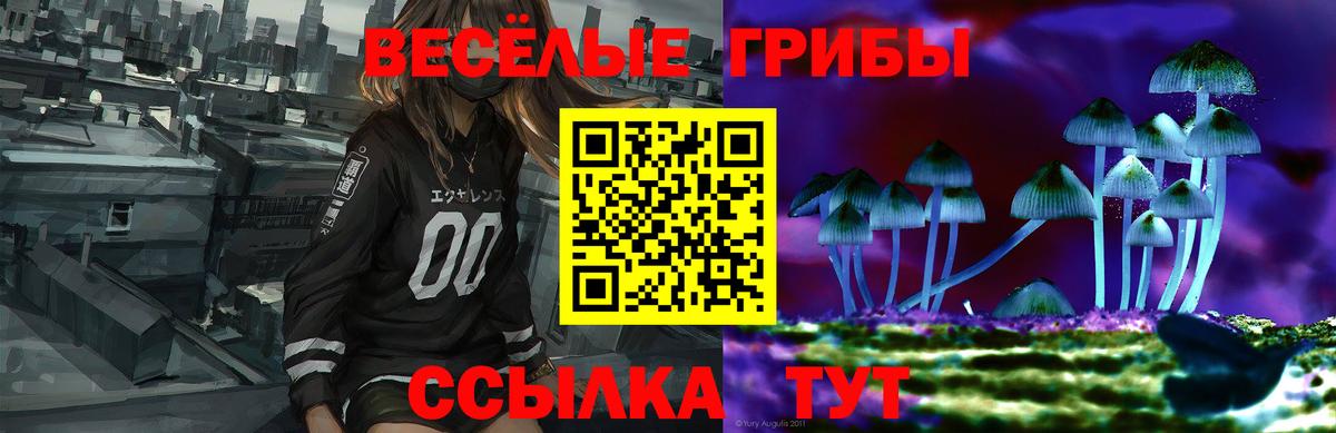 Галлюциногенные грибы Psilocybine cubensis  Вход с VPN  Псилоцибиновые грибы GOLDEN TEACHER  Березники 